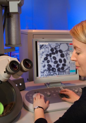 Study on the utility and efficacy of clinical and instrumental tests